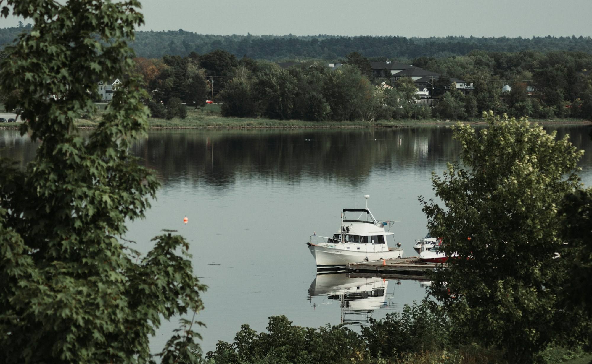 A boat moored on a calm, tree-lined river in New Brunswick